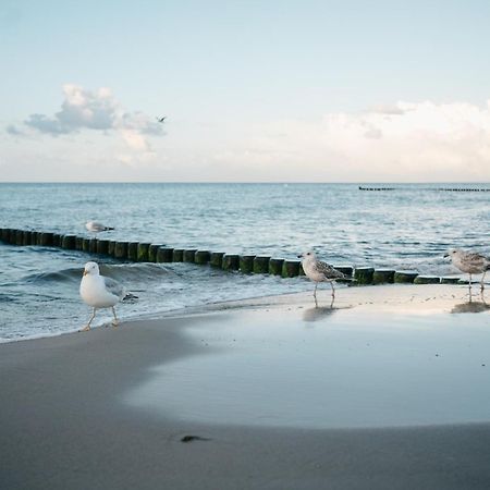 Kamphof Usedom Ferienanlage Loddin Εξωτερικό φωτογραφία